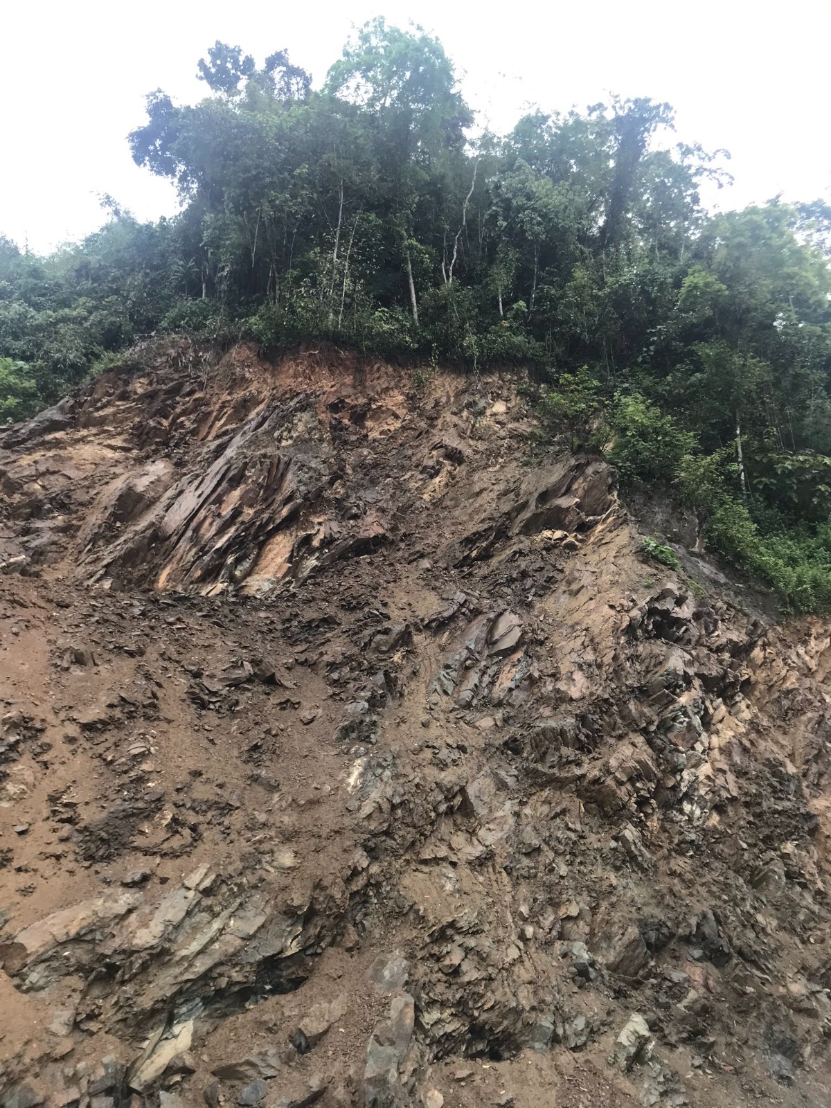 Arunachal Massive Landslide