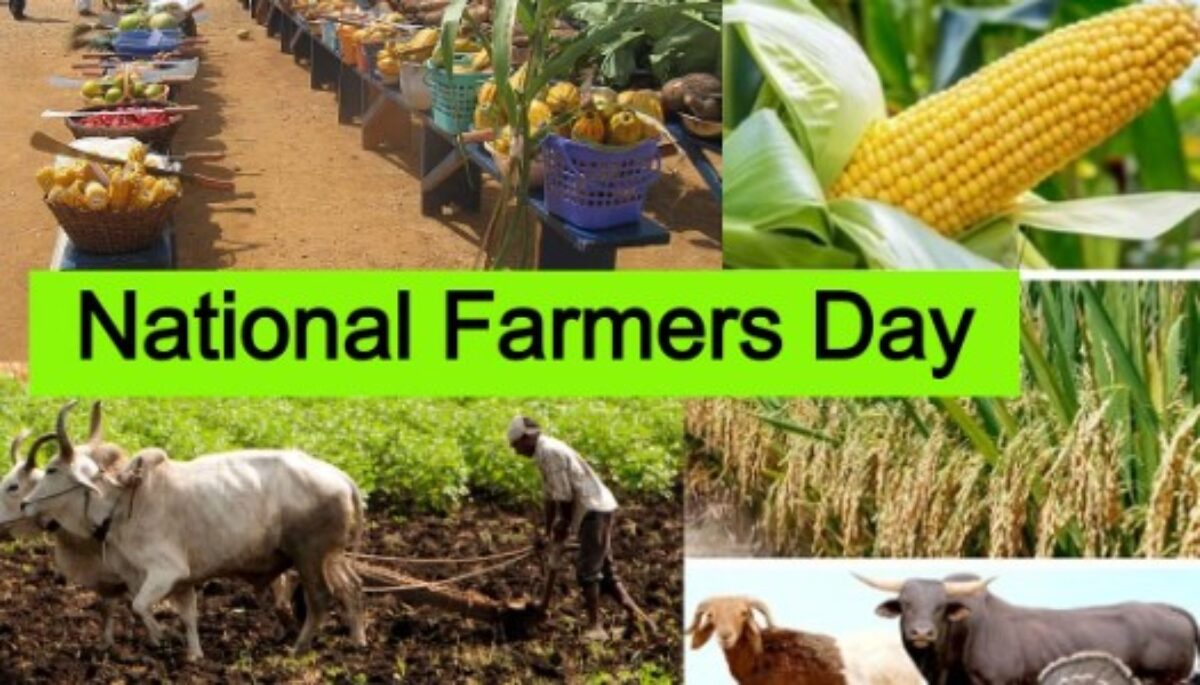 National Farmer's Day 2022: Why is Farmer's Day or Kisan Diwas ...